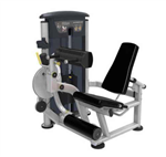 Leg Extension / Leg Curl