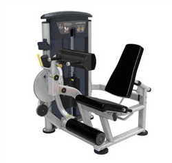Leg Extension / Leg Curl