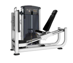 Leg Press