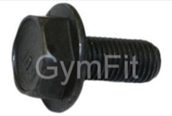 Indoor Cycle Crank Bolt