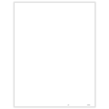 1099 Blank Sheet with Multiple Account Backer (DIV, MISC, OID, SA, 5498-SA) Pack of 500 Sheets