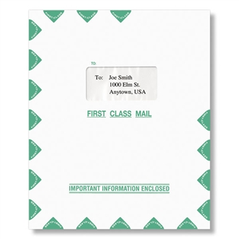 First Class Mail Single Window Organizer Envelope