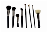 Professional Brush Set