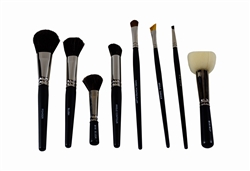 Professional Brush Set