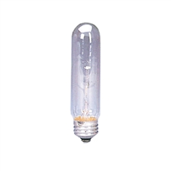 40 Watt Clear Tubular Bulb