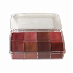 8 In One Lip Color Kit