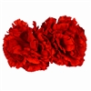 Red Carnation Boutonnieres