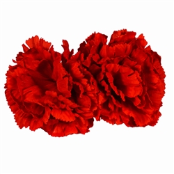 Red Carnation Boutonnieres