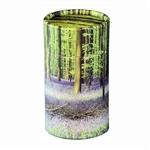 Bluebell Forest Mini Scattering Tube