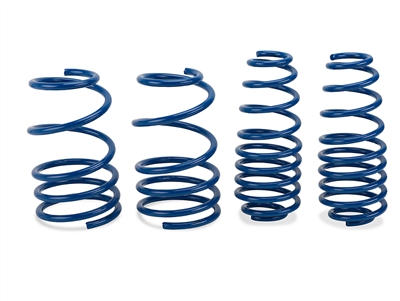 2007 - 2009 Ford Shelby / GT500 H&R Super Sport Springs