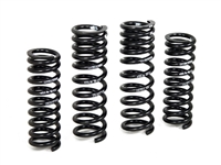 2004 - 2006 BMW 545i With-Out Self Leveling Suspension H&R Sport Springs