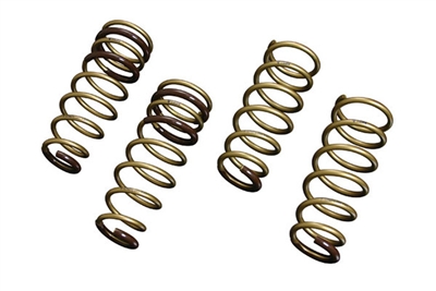 1999 - 2004 Ford Mustang GT Tein H. Tech Springs
