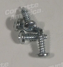 1-K1442 53-62 Courtesy Light Switch Screws. 4 Piece