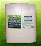 Turf Renu - 5 Gal