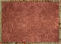 Cinnamon Toast  - Aida Cloth (DMC/Charles Craft)