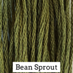 Bean Sprout