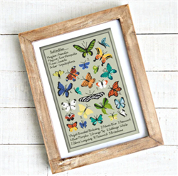 Little Dove Designs - Kaleidoscope Butterfly