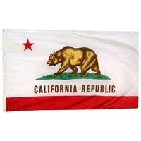 California State Flag 2' x 3' | Durable Nylon with Grommets