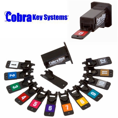 User Cards for Cobra Key Management Systems