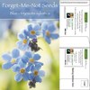 Forget-Me-Not Mailable Seed Packets | Customizable Eco-Friendly