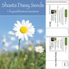 Shasta Daisy Mailable Seed Packet | Customizable | GMO-Free | USA Made