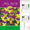Johnny Jump Up Mailable Seed Packets | Customizable & Sustainable | 1 oz. Postage