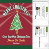 Fraser Fir Mailable Seed Packets | Custom Christmas Tree Seeds | Eco-Friendly | USA Made