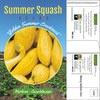 Summer Squash Mailable Seed Packets | Customizable Eco-Friendly Marketing