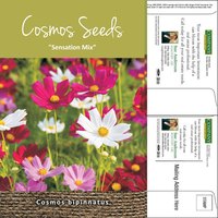 Cosmos Mailable Seed Packets | Customizable & Sustainable | 1 oz. Postage