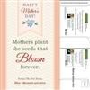 Forget-Me-Not Mailable Seed Packets for Mother's Day | Customizable | Eco-Friendly
