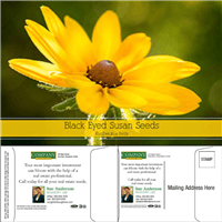 Black Eyed Susan Mailable Seed Packets | Customizable & Eco-Friendly