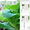 Lettuce Mailable Seed Packets | Customizable & Eco-Friendly | 1 oz. Postage Rate