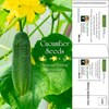 Cucumber Mailable Seed Packets | Customizable & Eco-Friendly | 1 oz. Postage Rate