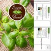 Seedvertising Basil Seed Packets | Mailable Postcards