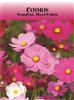 Cosmos Sensation Custom Printed Seed Packets