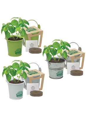 Custom Mini Pail Blossom Kits | Seed Grow Promotional Gifts
