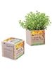 Wooden Cube Blossom Kit | Personalized Mini Planter Gift