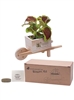 Wooden Wheel Barrow Blossom Kit | Personalized Rustic Planter Gift