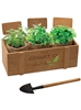 Terzetto Blossom Kit | Custom Indoor Garden Planter Gift