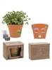 Wall Sprouts Planter Blossom Kit | Magnetic Indoor Garden Kit