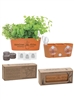 Wall Sprouts Planter Blossom Kit | Magnetic Indoor Garden Kit