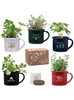 Mini Campfire Mug Blossom Kit | Personalized Mini Planter | Indoor Planters