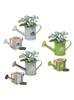 Mini Watering Can Blossom Kit | Customizable Indoor Planter Gift