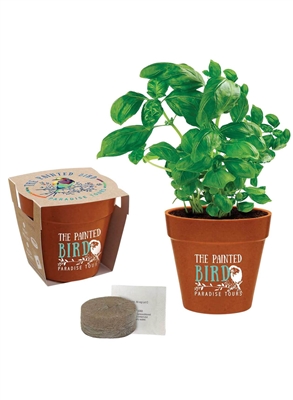 Mini Bamboo Blossom Kit | Eco-Friendly Bamboo Planter Gift