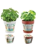 Custom Snap-In Blossom Kits | Indoor Garden Promotional Gifts