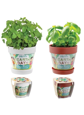 Custom Snap-In Blossom Kits | Indoor Garden Promotional Gifts