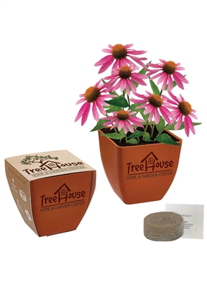 Bamboo Blossom Kit | Eco-Friendly Bamboo Planter Gift