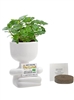 People Planter Kit | Personalized Ceramic Planter Gift