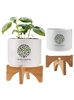 Ceramic Planter Set | Modern Indoor Garden with Bamboo Stand