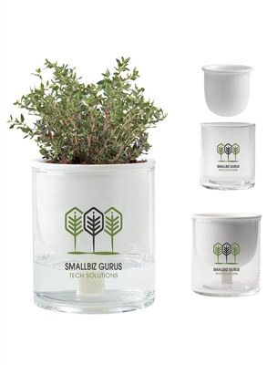 Self Watering Planter Kit | Easy Hydroponic Indoor Garden
